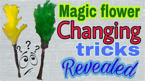Mind-Bending Magic Flower Tricks to Amaze Your Friends